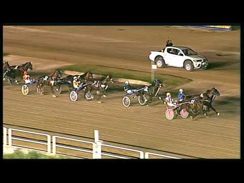 Trotto 21/08/2020 - 8ª corsa