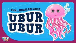 Download lagu UBUR-UBUR |  Mengenal Hewan Ubur-ubur |  Belajar Nama Hewan untuk Anak-anak | Jellyfish mp3