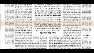נדרים דף מט