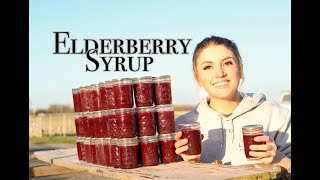 Elderberry : Making Syrup & Canning Juice from Wild Elderberries