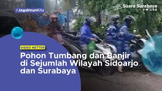 Download lagu Pohon Tumbang dan Banjir di Sejumlah Wilayah Sidoarjo dan Surabaya mp3 Download lagu Pohon Tumbang dan Banjir di Sejumlah Wilayah Sidoarjo dan Surabaya mp3