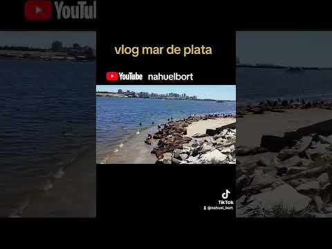 lobos marinos #buenosaires #argentina #vlog #mardelplata