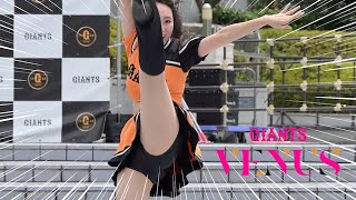 《プロ野球 チアリーダー》読売巨人軍 ジャイアンツ　VENUS ヴィーナス 2023  GIANTS cheerleader  21  《BraveTV》