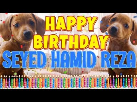Happy Birthday Seyed Hamid Reza! ( Funny Talking Dogs ) What Is Free On My Birthday