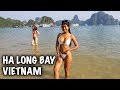 Ha Long Bay Is Vietnam's Paradise | Travel Vietnam 🇻🇳 Ha Long Bay Is Vietnam's Paradise | Travel Vietnam 🇻🇳