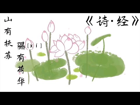 山有扶蘇隰有荷華意思