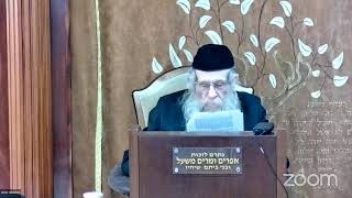 הרה"ג הרב וועכטר שליט"א ה' אייר תשפ"ד - מאמר הרבי הריי"צ תש"ט ד"ה ונחה עליו רוח ה' חלק ז (הרב אברהם מנחם מענדל וכטר) - התמונה מוצגת ישירות מתוך אתר האינטרנט יוטיוב. זכויות היוצרים בתמונה שייכות ליוצרה. קישור קרדיט למקור התוכן נמצא בתוך דף הסרטון