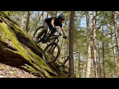 Ibis Ripmo AF...VS...Cannondale Habit LT1