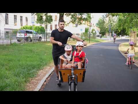 LEADER FOX CARGO-E Family ONE 2023