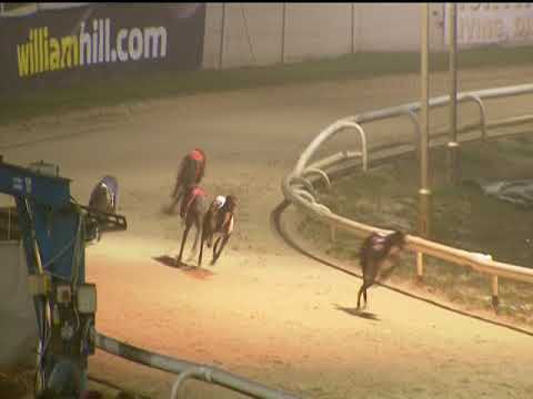 2017 WILLIAM HILL STANDARD - T6 BRAMBLE JOHNTED