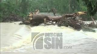 Árboles y poste del tendido eléctrico afectan comunidad de Anamuya, en La Altagracia