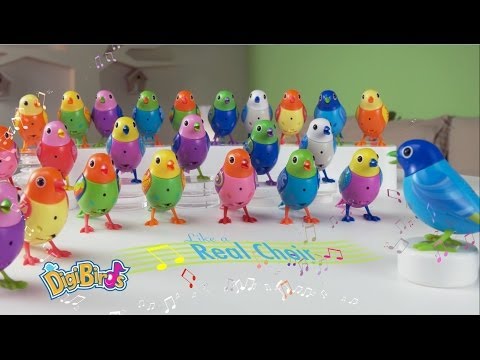 DigiBirds™ Magic Tunes & Games Video