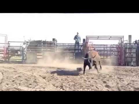 #107-H-11-Mudslide x Mossay Oak Mudslinger Offspring