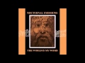 NOCTURNAL EMISSIONS THe World is my Womb  FULL ALBUM  1987