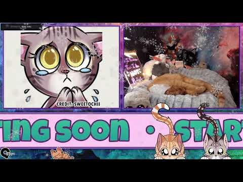 Twitch VOD - 12132023 Freedom Planet 2 Part 1