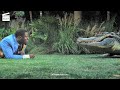 Ride Along 2 Face To Face With An Alligator HD CLIP