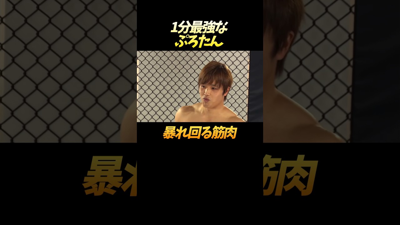 暴れ狂うぷろたんがとぅよすぎる… #shorts