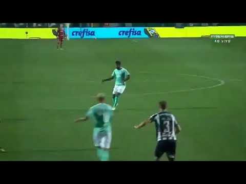Gol Thiago Santos Palmeiras 1 x 0 Botafogo - Brasileirão 2019