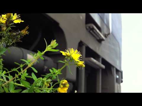 Zugfahrten in Mannheim und Ablaufbetrieb in Muttenz