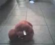 EVIL Tickle Me Elmo