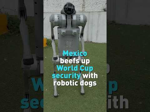 Mexico beefs up World Cup security with robo-dogs