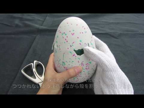 うまれて！ウーモ　how to　カラを取り除こう