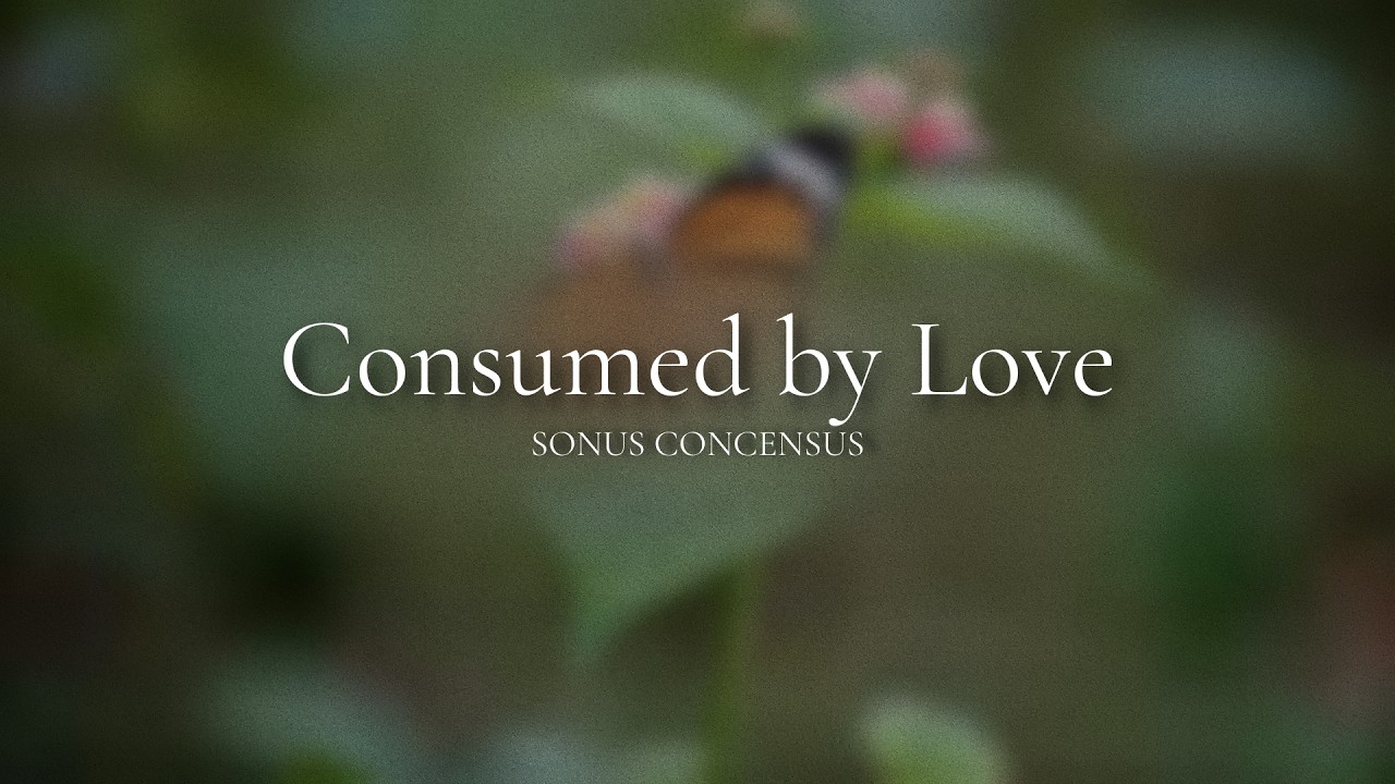 Consumed by Love