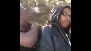 Download lagu Riva arora funny roast||funny meme||dank Indian meme ||🤣🤣 mp3