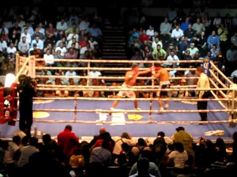 Erik Morales VS Jose Alfaro -- Round 12, Welterweight (27/03/2010)