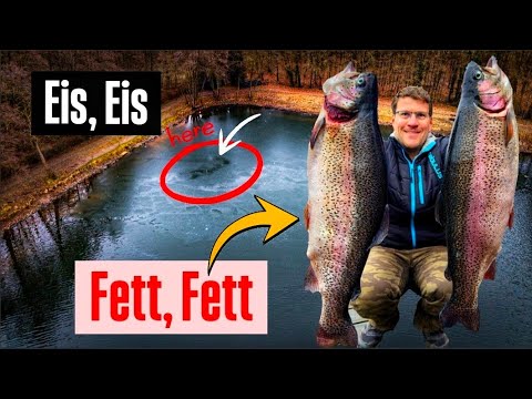 Fast EIS-KATASTROPHE für GREWALD – dann UNSER KRASSESTER FORELLEN-TRIP 2026