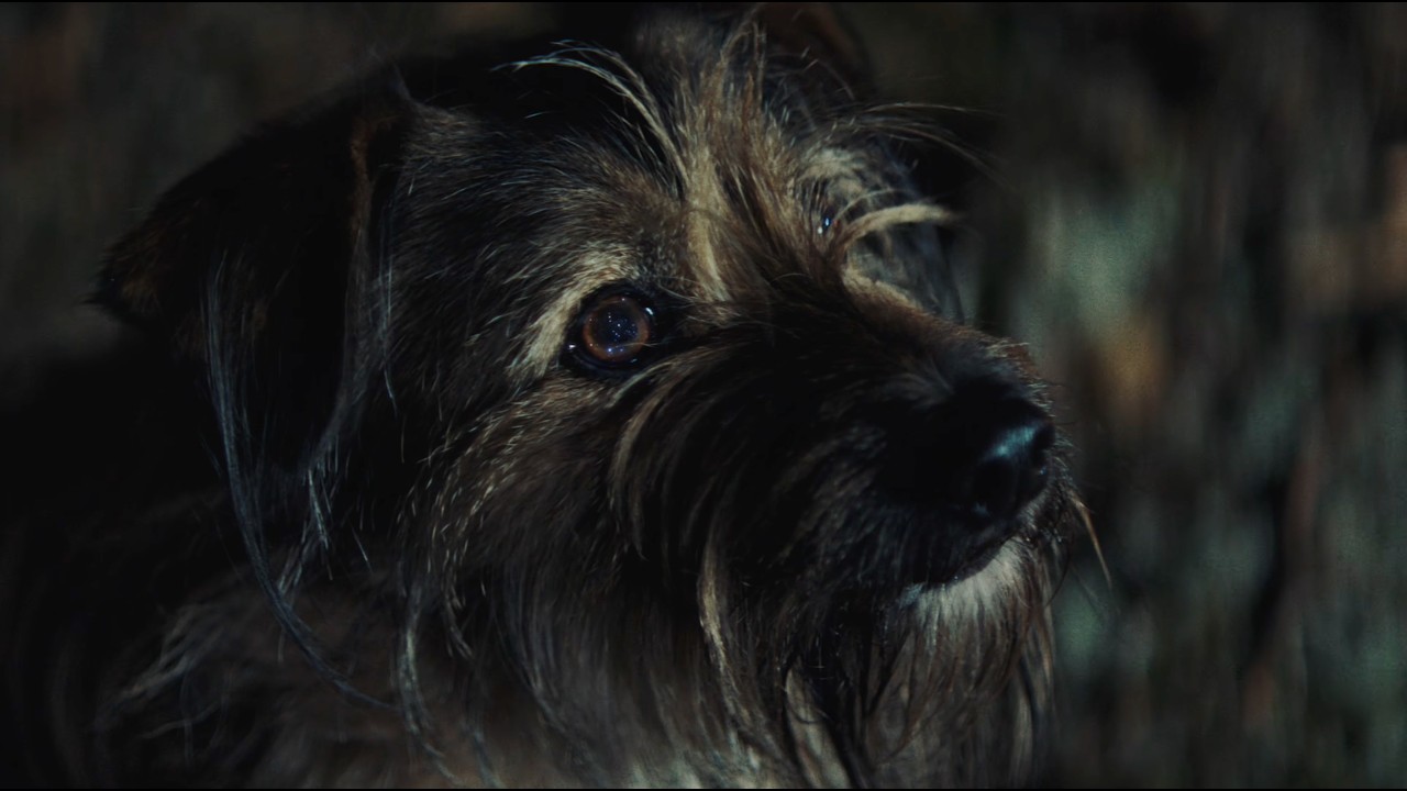 Imminence - If Not Now, When (Official Music Video) - YouTube