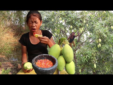 Wow! Watering mouth with Green mango vs Salt and Hot chili - Survival skills Anywhere Ep 97