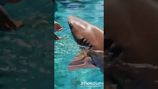 Download lagu https://youtube.com/shorts/tKP7I0S4uyU?si=eqeeuBPqZs8UqCee🤣🤣🤣 mp3 Download lagu https://youtube.com/shorts/tKP7I0S4uyU?si=eqeeuBPqZs8UqCee🤣🤣🤣 mp3