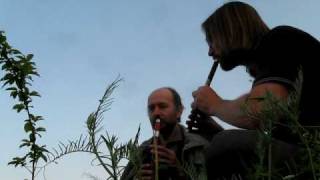 Tuginata pusta da ostane