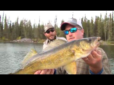 MidWest Outdoors TV Show #1568 - Full show with commercials