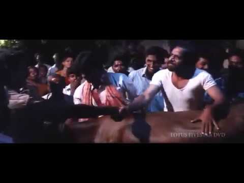 Paakkatha Paakkatha Song | VVS Movie | Tamil Movie