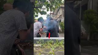 Download lagu Main petasan! | Itakimo Bali #trending #viral mp3