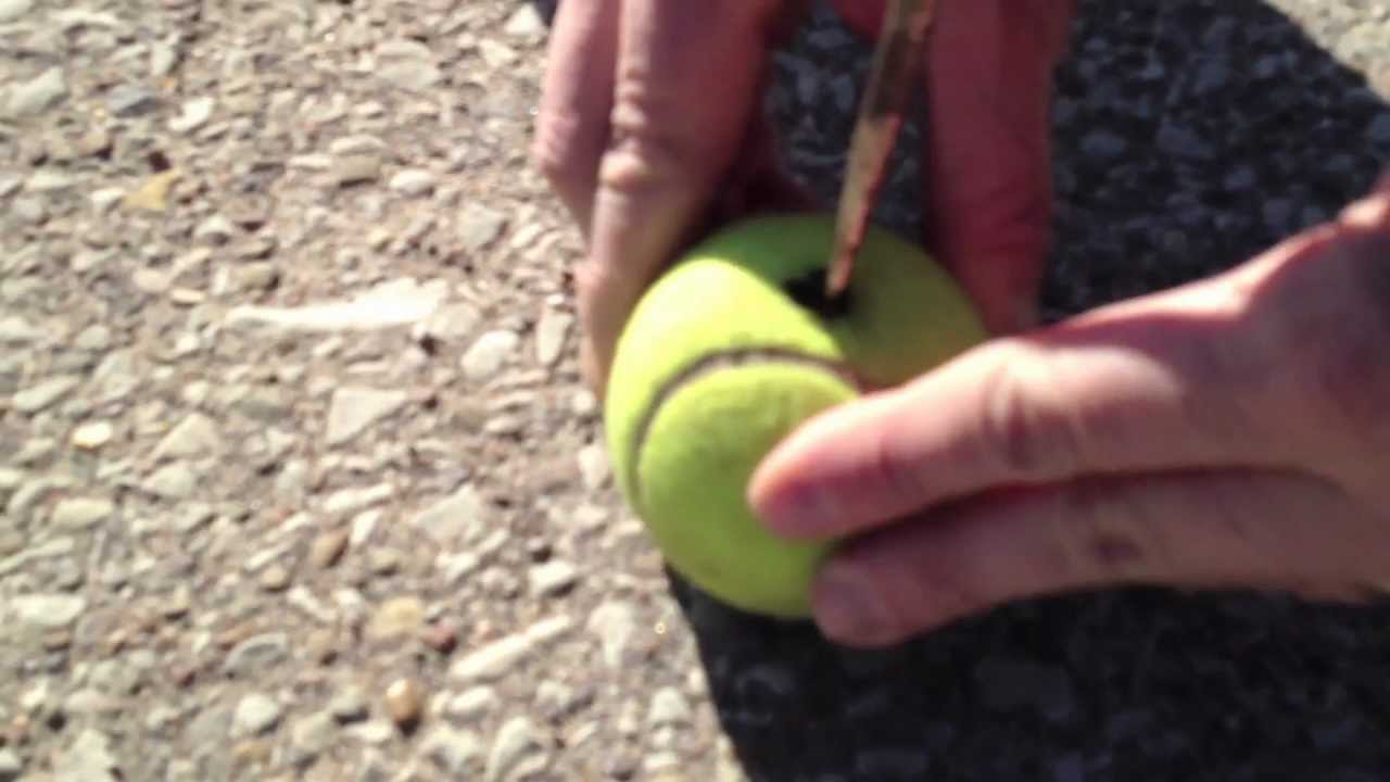 Can We Break Into A Car With A Water Bottle Tennis Ball Or Coat