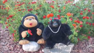 Aba Daba Honeymoon - Lyrics in Description