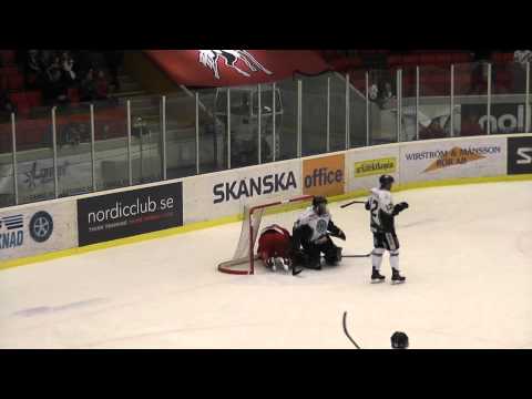 2011-03-11 Vita Hästen-ESK. sammandrag