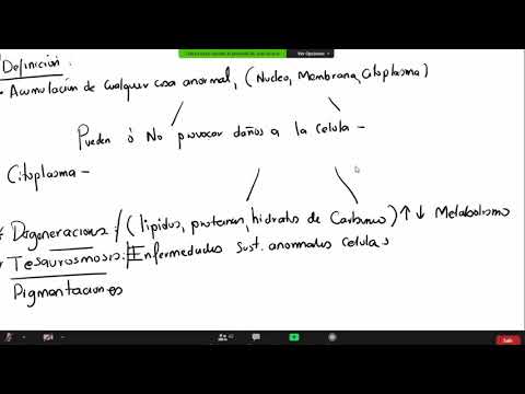 Patología - Acúmulos intracelulares.