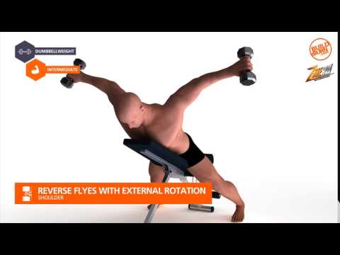 Shoulder   Reverse Flyes with External Rotation