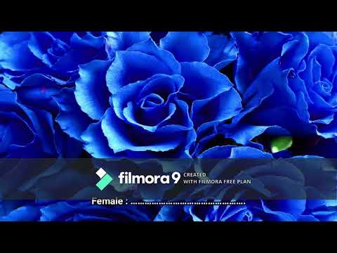 Minnalgal Koothaadum Mazhai Kaalam Song