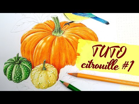 🎃 TUTO Citrouille #1 : citrouille orange - Illustration Davlina Art