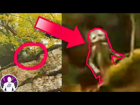 Un Espeluznante Exorcismo Es Captado En Cámara - 5 Vídeos De Terror