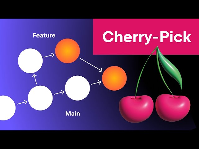 JetBrains product / service