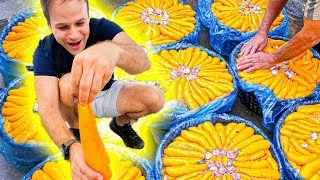 Most INSANE $10,000 Street Food in Taiwan - RARE Access to Taiwan's most LUXURY Street Food!