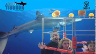 DIA 3 Expo Tiburon25