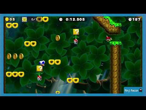 Ninji Speedrun 3 2020-01-13 - The 10-Coin of Deep Woods