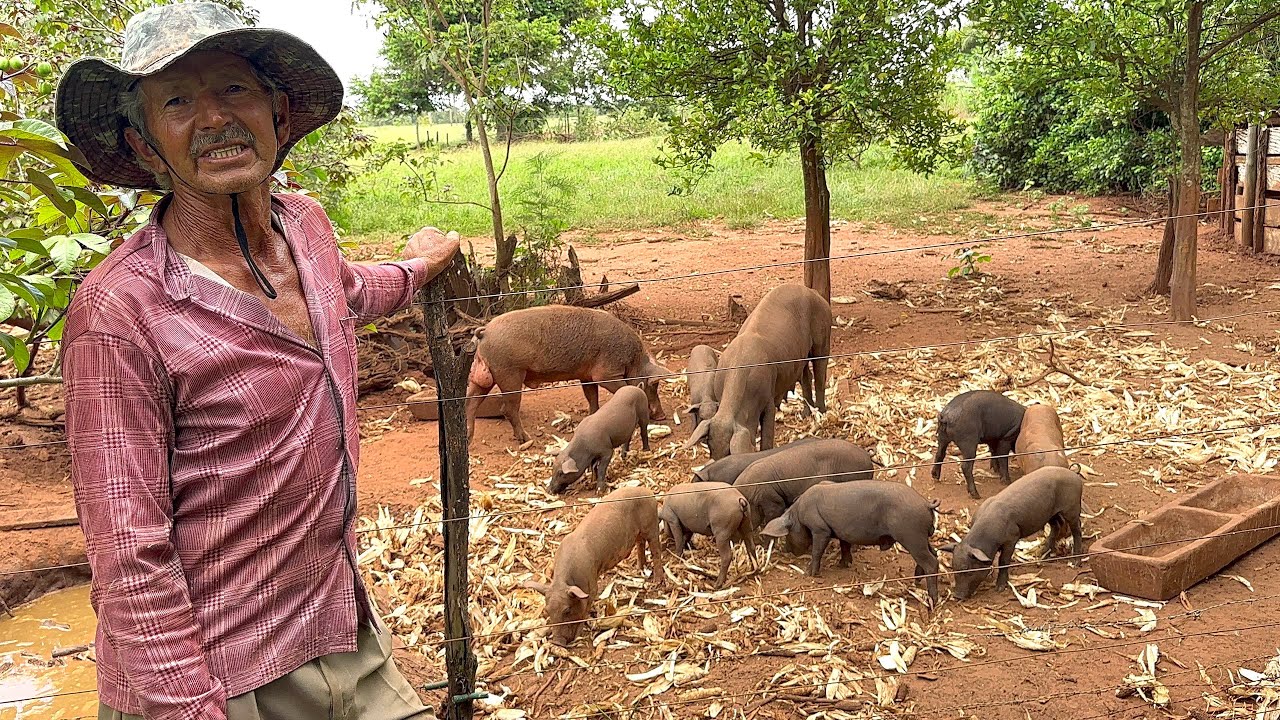 ￼ Seu Joaquim formou Todos seus filhos Numa boa faculdade, Vivendo na roça…